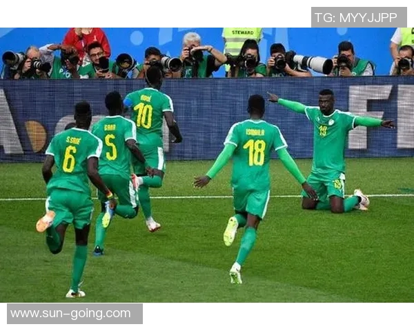 南非与塞内加尔激战正酣谁将赢得这场非洲足球盛宴